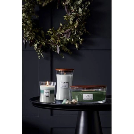WOODWICK Core Hearthwick świeca w słoiku elipsa MAGNOLIA BIRCH 453g
