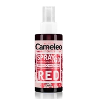 DELIA Cameleo Spray&Go koloryzujący spray do włosów Red 150ml
