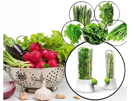 ECARLA pojemnik do przechowywania świeżych ziół do lodówki POJ09