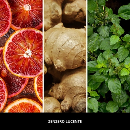 MILLEFIORI MILANO Diffuser pałeczki zapachowe ZENZERO LUCENTE 250ml