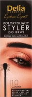 DELIA Eyebrow Expert Styler do brwi 1.0 Czarny 11ml