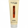 STAPIZ Sleek Line Repair Mask - maska do włosów 250ml