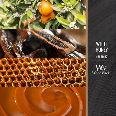 WOODWICK PlusWick mała świeca w słoiku WHITE HONEY 85g