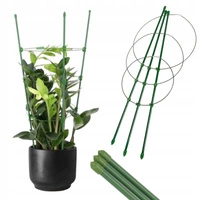 ECARLA podpora pierścieniowa do roślin, kwiatów L 28x60cm ROS22