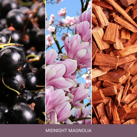 YANKEE CANDLE Home Inspiration Średnia świeca w słoiku MIDNIGHT MAGNOLIA 340g