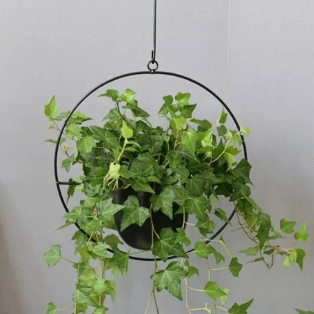 ECARLA doniczka na kwiaty wisząca 14cm Czarna ROS15