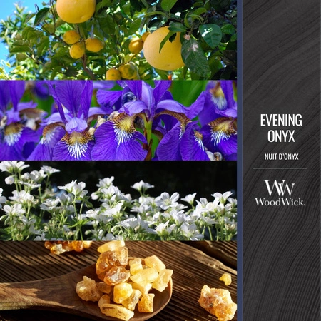 WOODWICK Pluswick Duża świeca w słoiku EVENING ONYX 609,5g