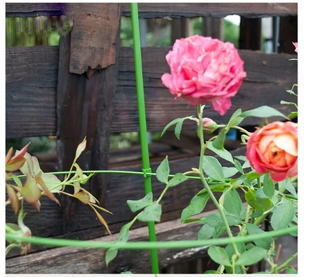 ECARLA podpora pierścieniowa do roślin, kwiatów L 28x60cm ROS22