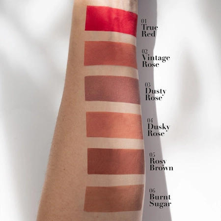 PIERRE RENE Cover Matte płynna matowa pomadka do ust 08 05 Rosy Brown 5ml