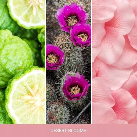 YANKEE CANDLE Signature Duża świeca w słoiku DESERT BLOOMS 567g