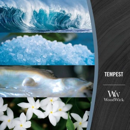 WOODWICK Core Hearthwick świeca w słoiku elipsa TEMPEST 453g