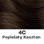 4C Popielaty kasztan