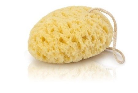 DONEGAL Gąbka do kąpieli kropla kolor losowy