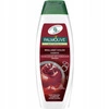 PALMOLIVE Naturals szampon ochrona koloru Brilliant Color 350ml