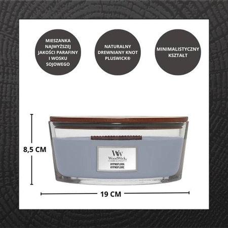 WOODWICK Core Hearthwick świeca w słoiku elipsa HYPNOFLORA 453g