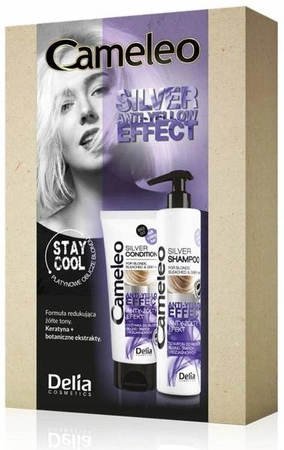 DELIA Cameleo Anti-Yellow Effect Silver zestaw do włosów