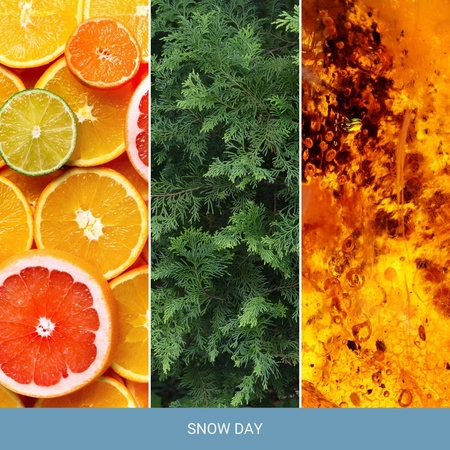 YANKEE CANDLE Home Inspiration Średnia świeca w słoiku SNOW DAY 340g