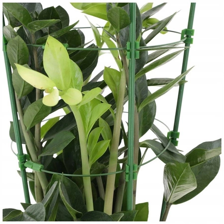 ECARLA podpora pierścieniowa do roślin, kwiatów M 28x45cm ROS21