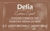 DELIA Eyebrow Expert pudrowa henna do brwi 3.1 Czarny Brąz 4g