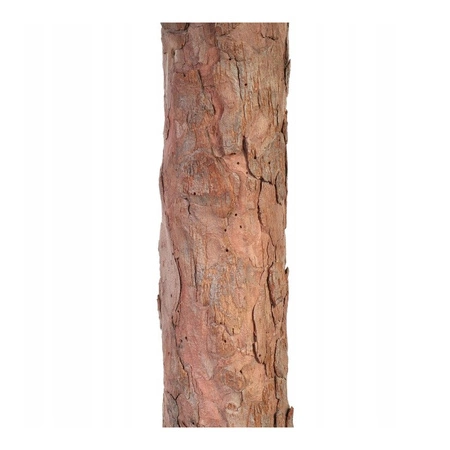 ECARLA choinka na pniu ośnieżony świerk 150cm CHO08