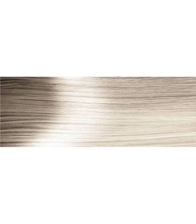 DELIA Cameleo Coloring szamponetka koloryzująca 10.1 Silver Blonde 40ml