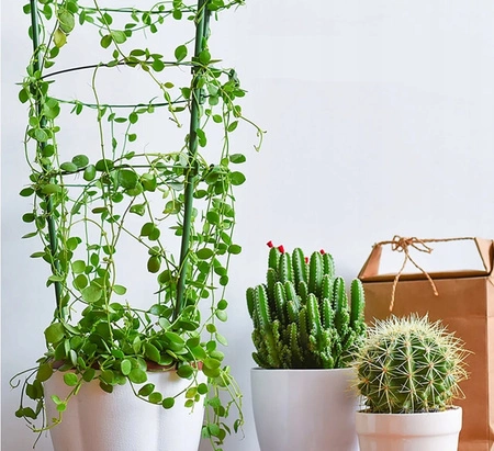 ECARLA podpora pierścieniowa do roślin, kwiatów M 28x45cm ROS21