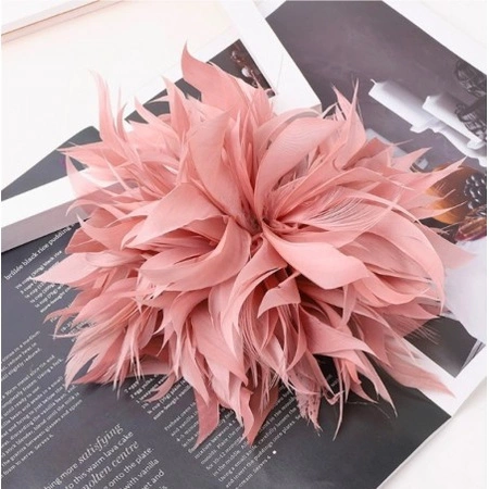 ECARLA broszka ozdobna, spinka do włosów 2w1 Pióra Pudrowy Róż BZ207R