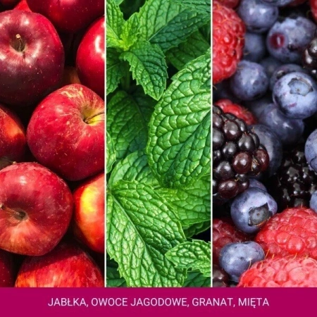 YANKEE CANDLE Signature Duża świeca w słoiku SPARKLING WINTERBERRY 567g