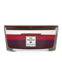 WOODWICK Hearthwick Trilogy świeca w słoiku elipsa SUN-RIPENED BERRIES 453g 