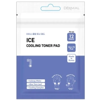 PRESENT SKIN Pad Ice Colling Toner płatki do twarzy tonujące 12szt