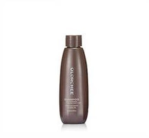 OLORCHEE Anti Dandruff szampon do włosów 80ml