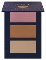 PIERRE RENE Art Cream Contouring paleta 03 12g