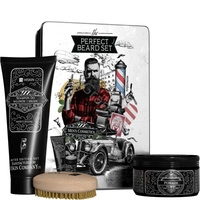 HISKIN Perfect Beard Set zestaw [SZCZOTKA do brody + pomada 100ml + szampon 200ml]