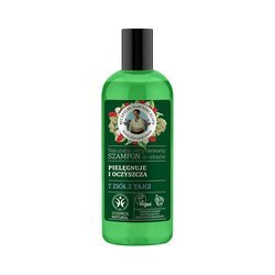 BABUSZKA AGAFIA Zielona szampon do włosów Oczyszczanie 260ml