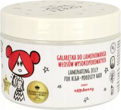 HISKIN Crazy Hair galaretka do laminowania włosów wysokoporowatych 300ml 