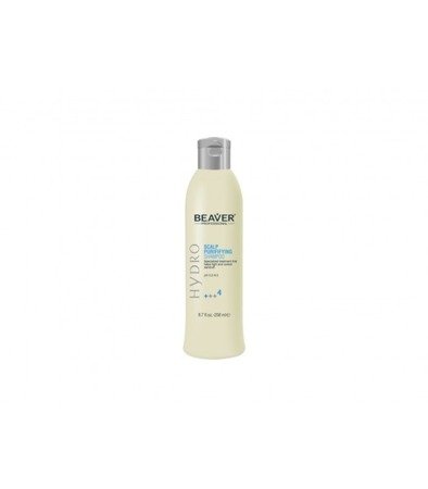 BEAVER Hydro Scalp Purifying szampon przeciwłupieżowy do włosów 258ml