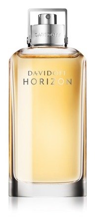 DAVIDOFF Men Horizon edt 125ml