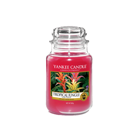 YANKEE CANDLE Large Jar Tropical Jungle 623g